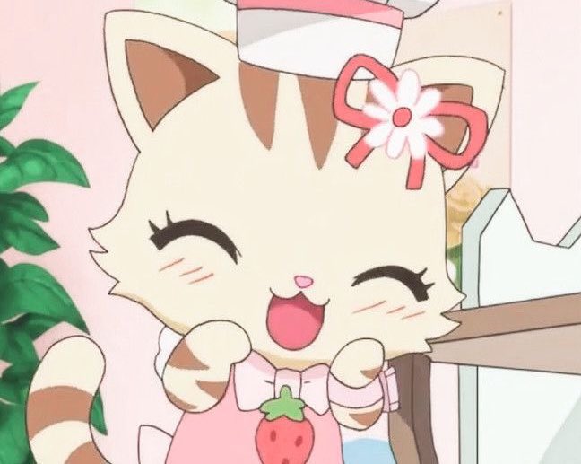 ˖ ꜝ❤︎ kimi 𑣲 ⏦゚ tweet media
