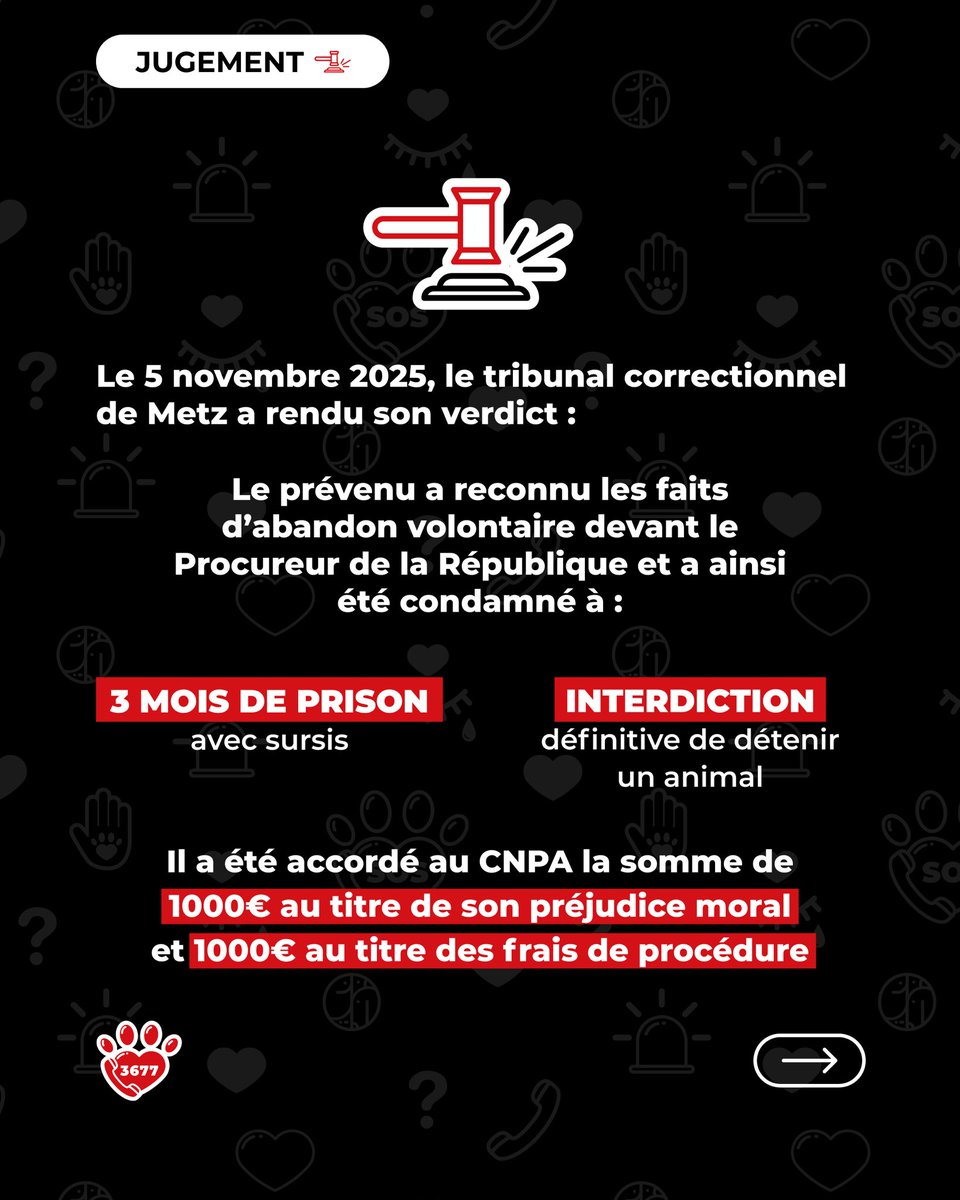 ⚖️ 𝘽𝙖𝙡𝙠𝙤 𝙚𝙩 𝙁𝙡𝙮𝙣𝙣 𝗹𝗲 𝗷𝘂𝗴𝗲𝗺𝗲𝗻𝘁 𝗲𝘀𝘁 𝗽𝗿𝗼𝗻𝗼𝗻𝗰𝗲́ ⚖️

À Haboudange Moselle un appel au 3677 a révélé trois chiens en situation de maltraitance.
Flynn très amaigri et couvert d’escarres et Balko enfermé dans une maison insalubre ont été secourus.