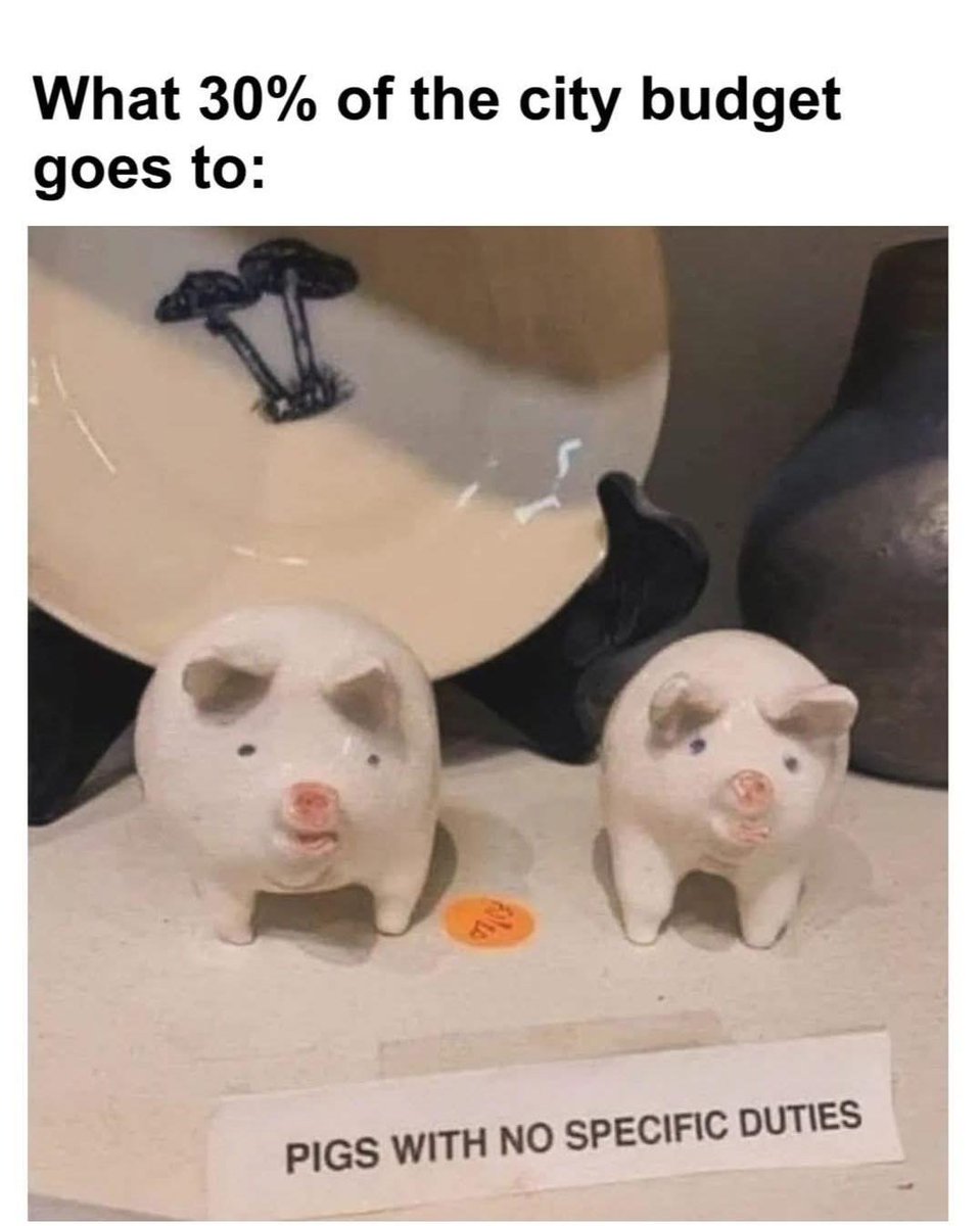 Steve (@shit_haus_mouse) on Twitter photo 