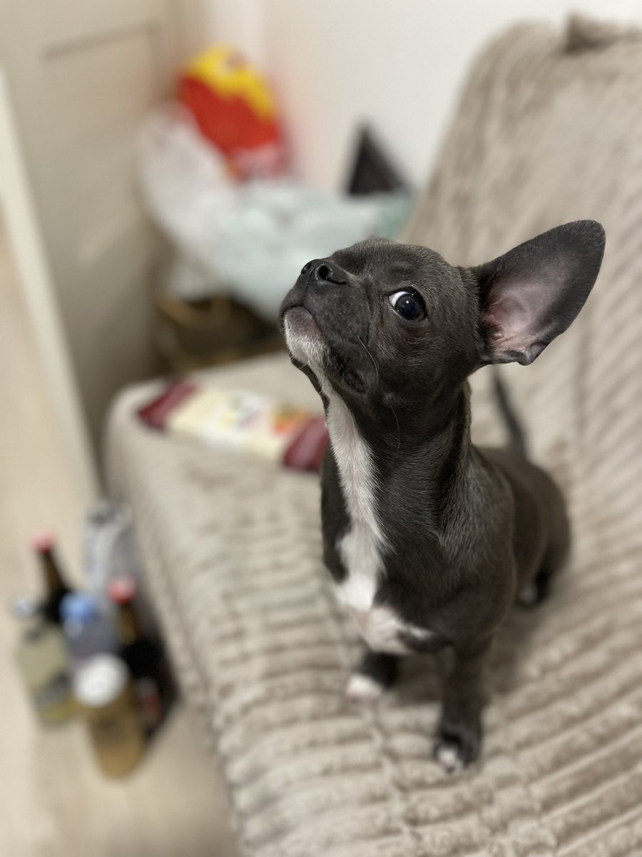 готовим плов, пьем пив и завтра уезжаем домой из Питера