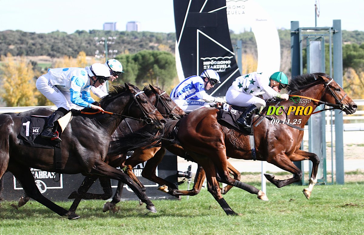 Tetuán, con la monta inesperada de S.Donohoe, se alzó hoy con el GP Román Martín <a href="/HipodromoMadrid/">Hipódromo de La Zarzuela</a>. El ejemplar de la Yeguada Rocío (ganador en 2024 del GP Nacional y del Villapadierna) mostró el gran caballo que es. Fernis, Alwin Bram, Aitana y Faith Rose también ganaron 🐴🏆💐