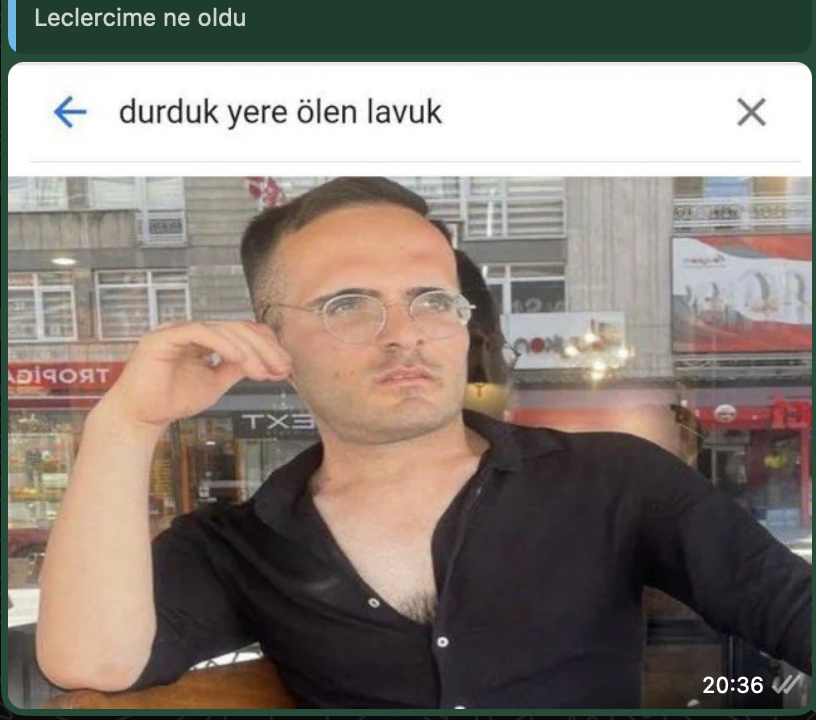 Rextile tweet media