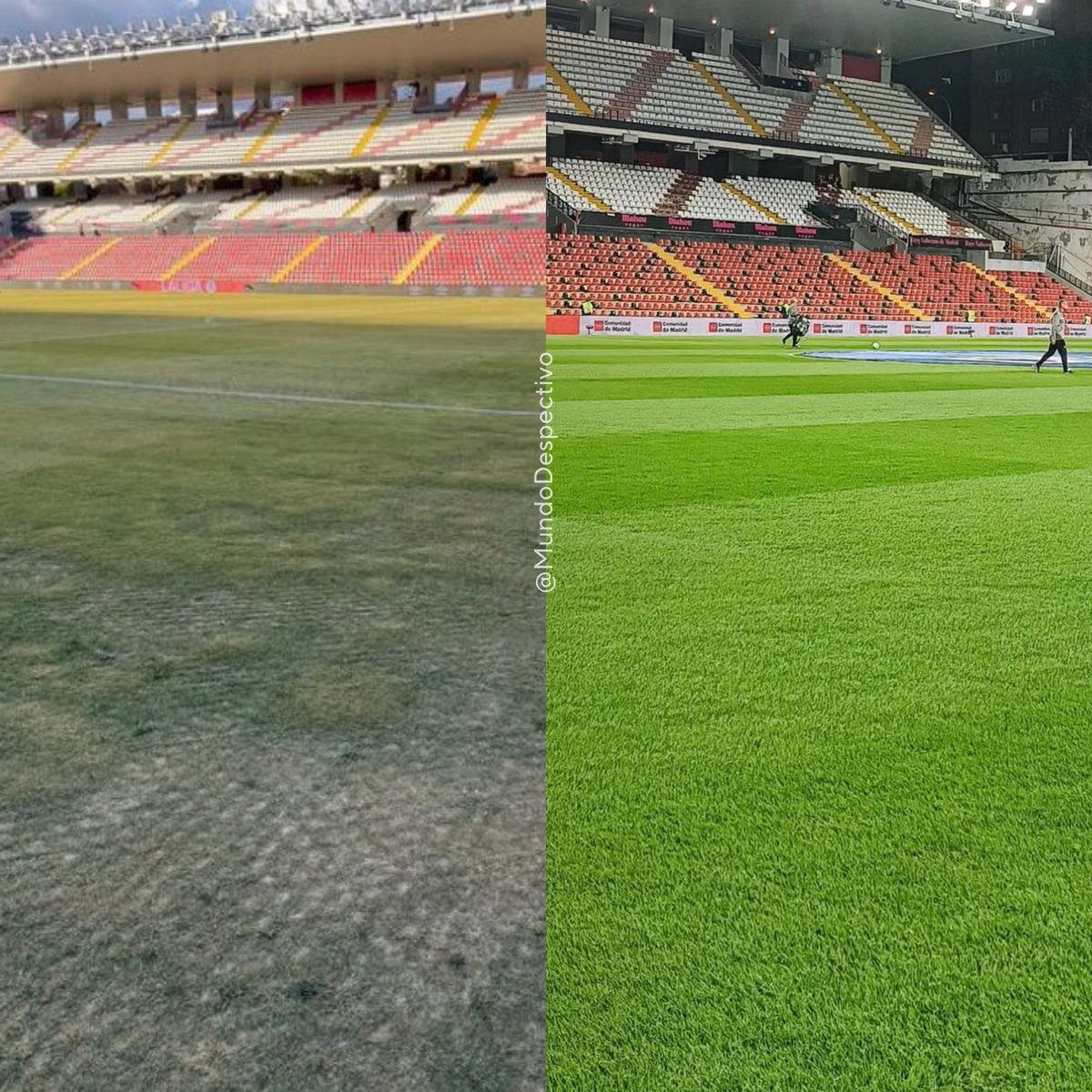 El césped del Rayo.

Contra el Barça                   Contra el Madrid