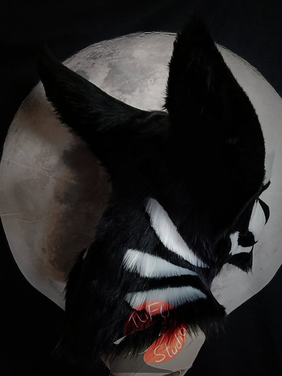 🐺TUFU-Studio🦖 tweet media