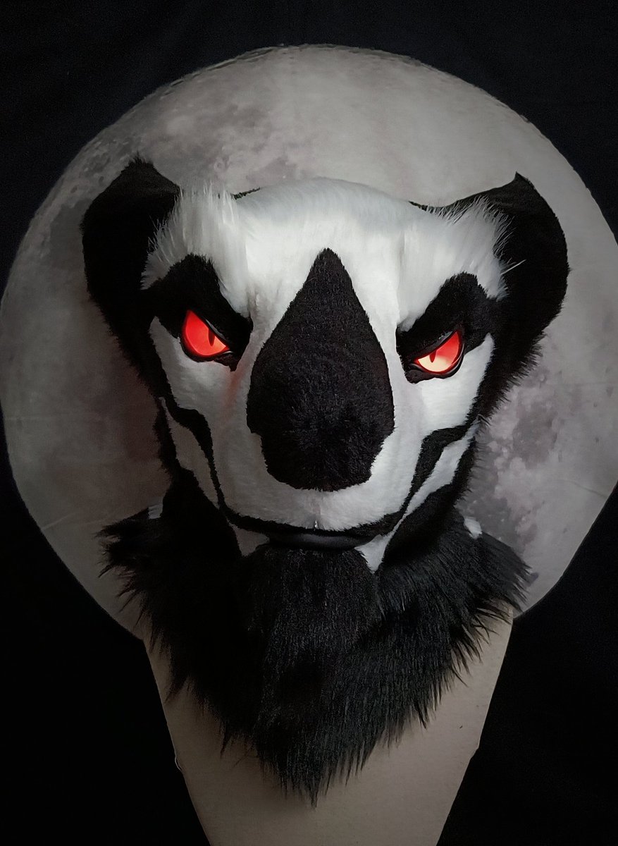 🐺TUFU-Studio🦖 tweet media