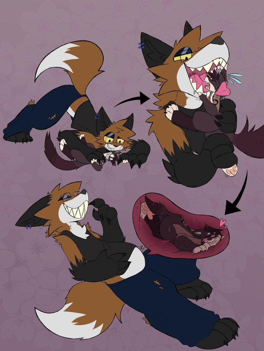 SoftSnax tweet media