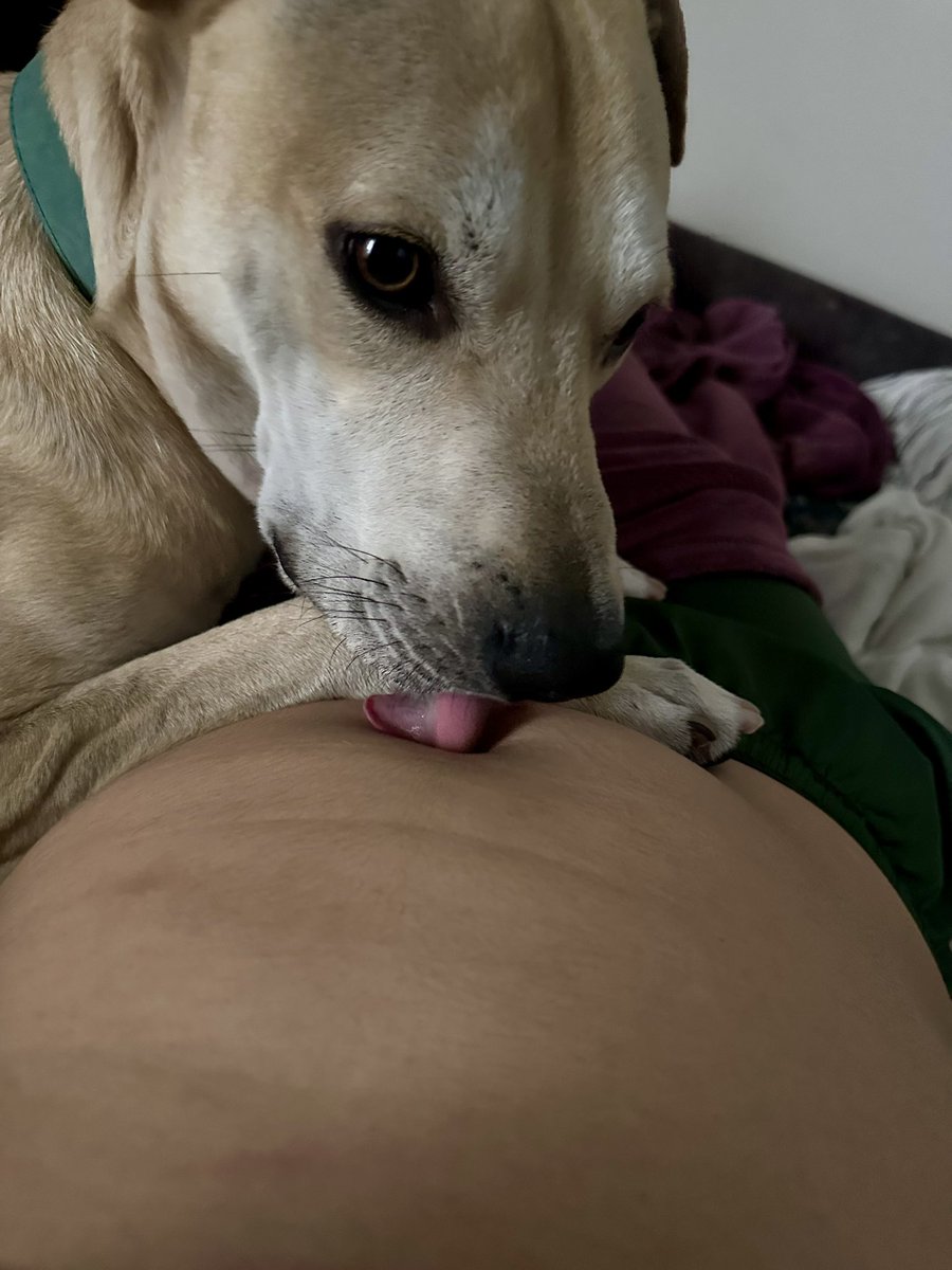 floraescobar's tweet photo. Yo creo que el si sabe que estoy embarazada 😍😍🥰 https://t.co/K9D1YRrBsq