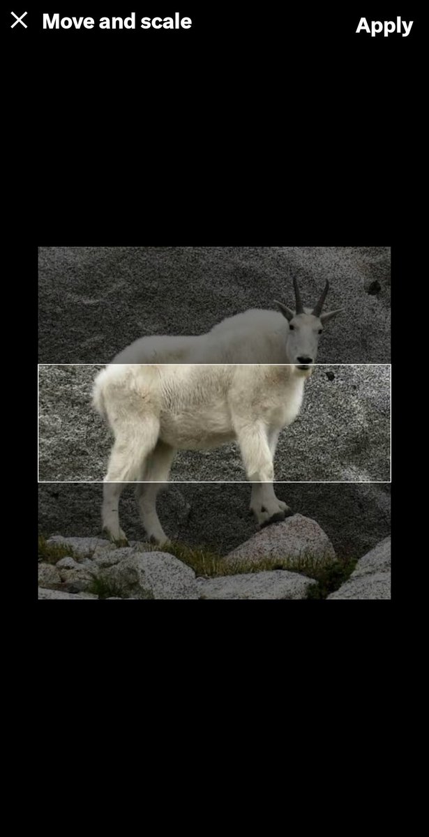 TeamRazer's tweet image. How do I get this to fit in our banner?