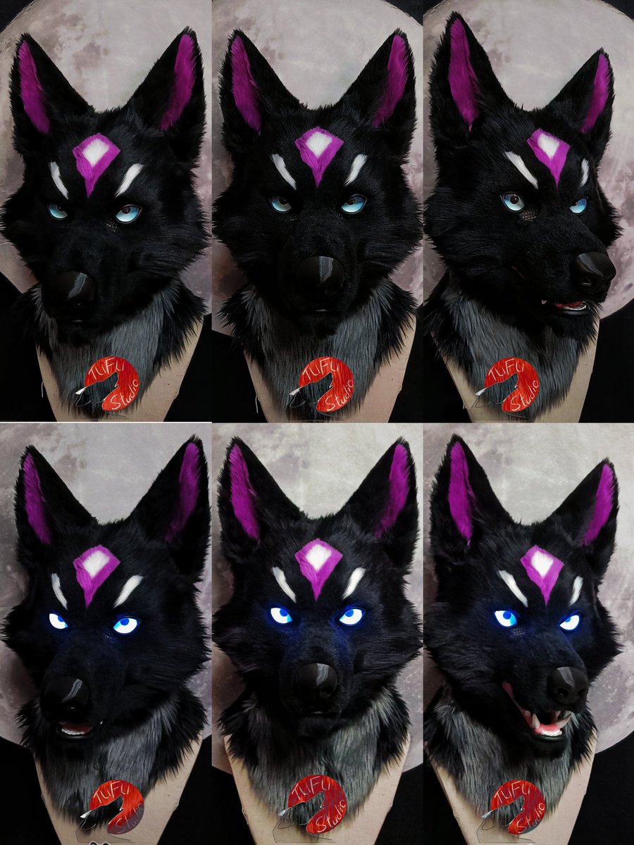 🐺TUFU-Studio🦖 tweet media