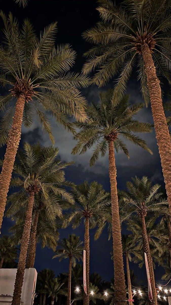 SAUDI IMAGE (@saudiic) on Twitter photo 