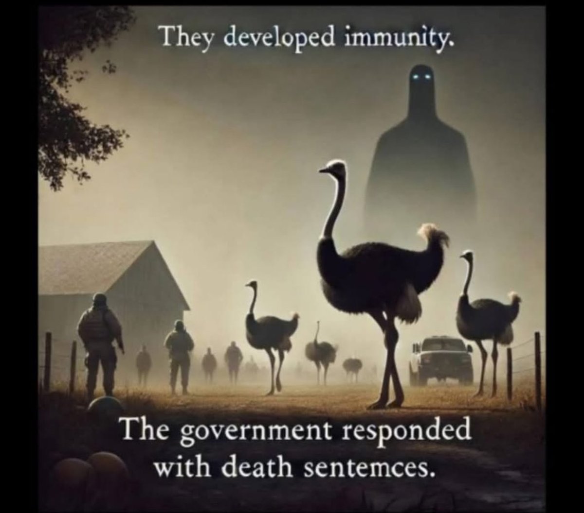 Sassygal (@sassygal1971) on Twitter photo 