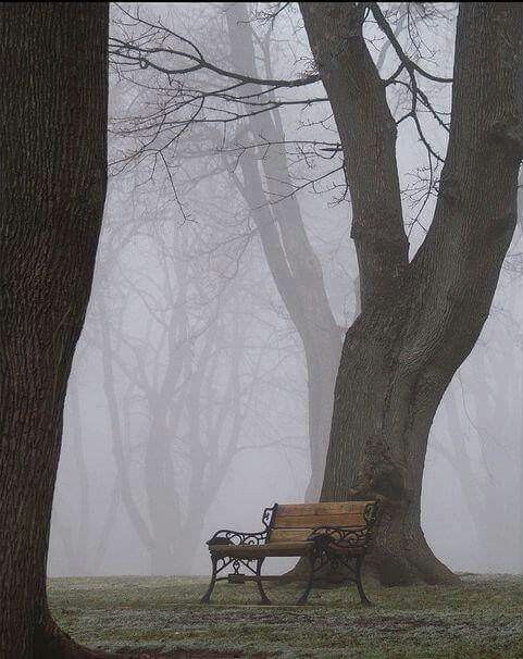 UKHomeFinds's tweet photo. 🍂 Happy Thursday Lunchtime, UK! November Midday: 10-Minute Breathwork in the Mist 🌬️🍁  
Hello, UK! It’s Thursday lunchtime, and as November’s fog envelops the world, let’s dedicate 10 minutes to breathwork in the mist — a free, powerful tool for focus, calm, and connection to the season 🌞🍁. Backed by neuroscience and ancient practices, this midday ritual counters stress and boosts oxygen intake. Here’s a full protocol with science, steps, and variations:  
🌬️ The Science of Breath in November
Cold, humid air (typical UK November) increases lung capacity by 5–10% (British Lung Foundation). Deep breathing activates the vagus nerve, reducing heart rate by 10–15 bpm in 5 minutes (Harvard Medical School). Midday timing aligns with circadian dip — perfect for a natural energy lift without caffeine.  
🌿 Step 1: Setup (12:00–12:02)
Step outside or open a window. Wear a scarf if chilly. Stand or sit — feet grounded. Hold a reusable water bottle for post-practice hydration.  
👃 Step 2: 4-7-8 Foundation (12:02–12:07)
Dr. Andrew Weil’s technique:  
Inhale quietly through nose for 4 seconds (fill lower lungs).  
Hold for 7 seconds (feel mist on face).  
Exhale through mouth for 8 seconds (visualize releasing tension).
Repeat 4 cycles. This downregulates sympathetic nervous system — ideal for post-meeting calm.
✨ Step 3: Box Breathing Variation (12:07–12:12)
Navy SEAL method for focus:  
Inhale 4, hold 4, exhale 4, hold 4.
Sync with November cues: inhale on leaf fall, exhale on bird call. 5 cycles sharpen mental clarity (used by athletes for performance).
🌳 Step 4: Sensory Integration (12:12–12:15)
Close eyes. Inhale scent of damp earth; exhale warmth. This “olfactory anchoring” links breath to season, enhancing memory (Oxford study: smells boost recall by 20%).  
📝 Step 5: Closure & Journal (12:15–12:17)
Return indoors. Jot one word describing your state (e.g., “grounded”). Sip water. This micro-journaling cements neuroplasticity.  
📊 Eco & Wellness Impact  
Eco: Zero waste, zero cost. Replaces coffee (saves ~100 paper cups/year).  
Wellness: Lowers blood pressure, improves sleep, reduces anxiety (NHS Breathwork trials).
This Thursday, breathe with November’s mist. How did it feel? Share below! 💬 #EthicalHomeFinds #MiddayBreathwork #NovemberVibes #SustainableLiving #UKLunchtime #ThursdayCalm #GreenLiving #CozySeason #MistBreathing #NovemberReset