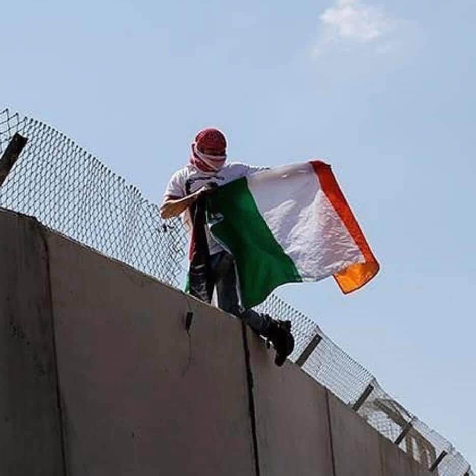 Irish Unity 🇮🇪🇵🇸 tweet media