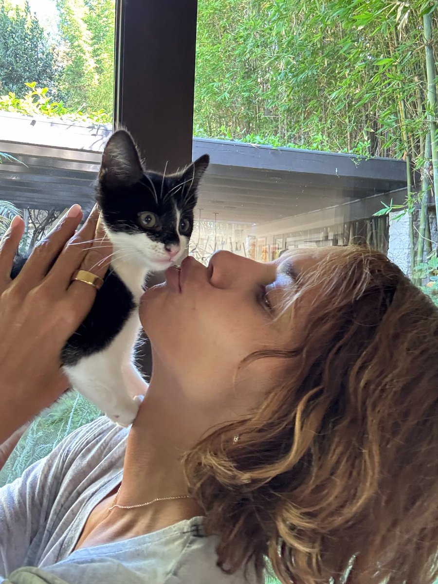 Halle Berry tweet media