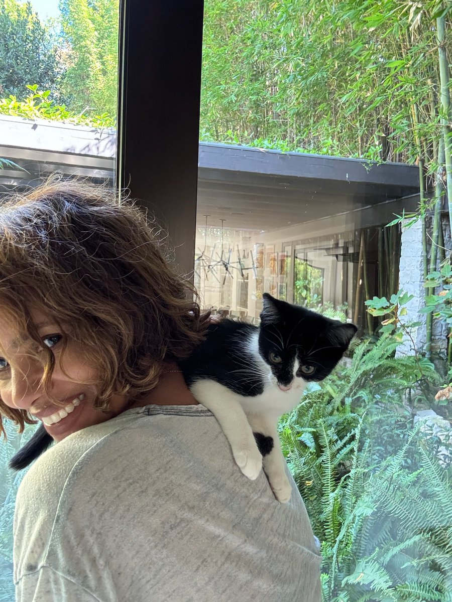 🐈‍⬛🐈‍⬛🐈‍⬛