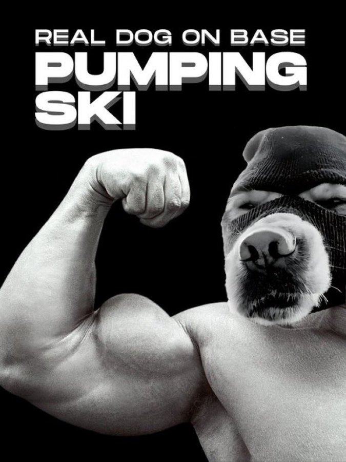 Are you ready for the 100x ride, fam? $SKI