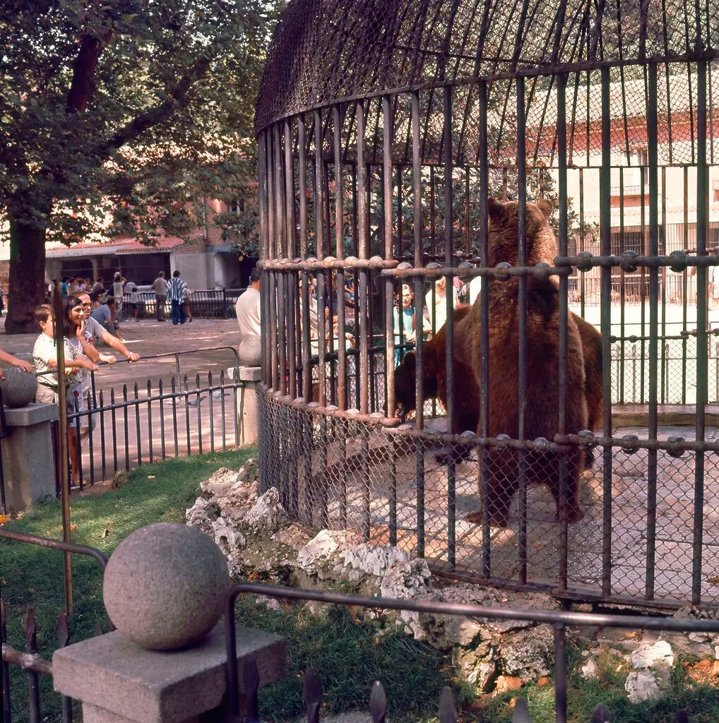 El Madrid desaparecido de Penny y Julio Gª. Moutón tweet media