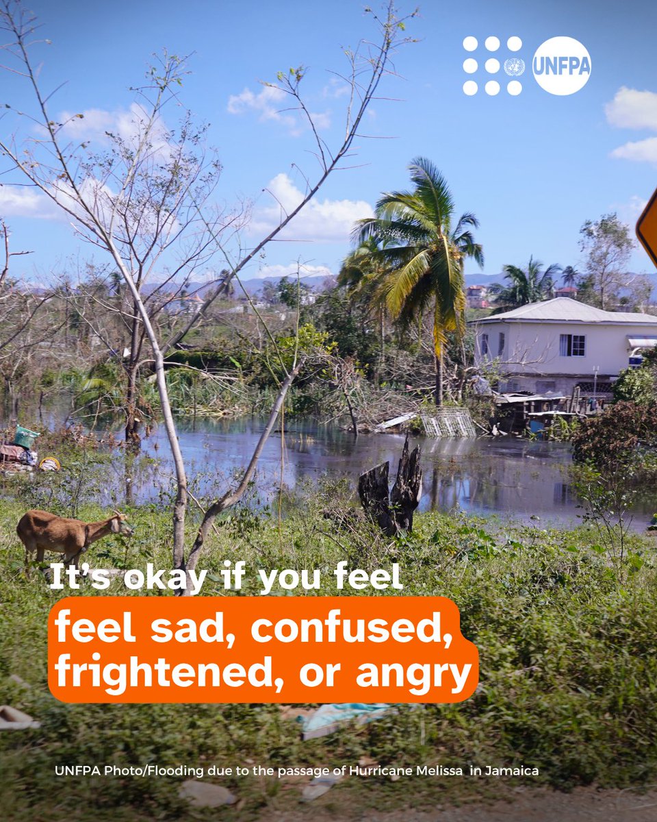 UNFPA Sub-regional Office for the Caribbean tweet media