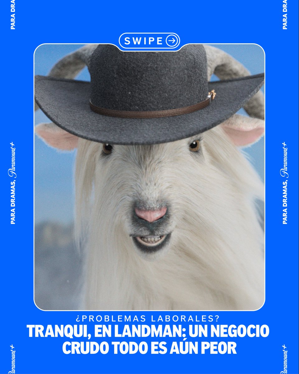 ParamountPlusMX's tweet image. La serie Landman: Un Negocio Crudo tiene más drama que el que tienes en tu vida. ¡Te lo aseguro! 👌

Descúbre la nueva temporada de esta serie el 16 de noviembre en #ParamountPlus