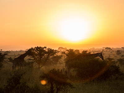 Rashid Abdi tweet media