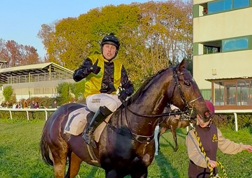 ITALIA. Sant'Artemio, Vana Jr tripla. Brunch Royal magistrale nel Duca Amedeo D'Aosta, Winstopresident solitario nella Corsa Siepi di Treviso, Occhio Alla Penna ok nel Riccardo Milani; doppio Kratochvil #ippodrominordest #santartemio #jankratochvil #josevvanajr