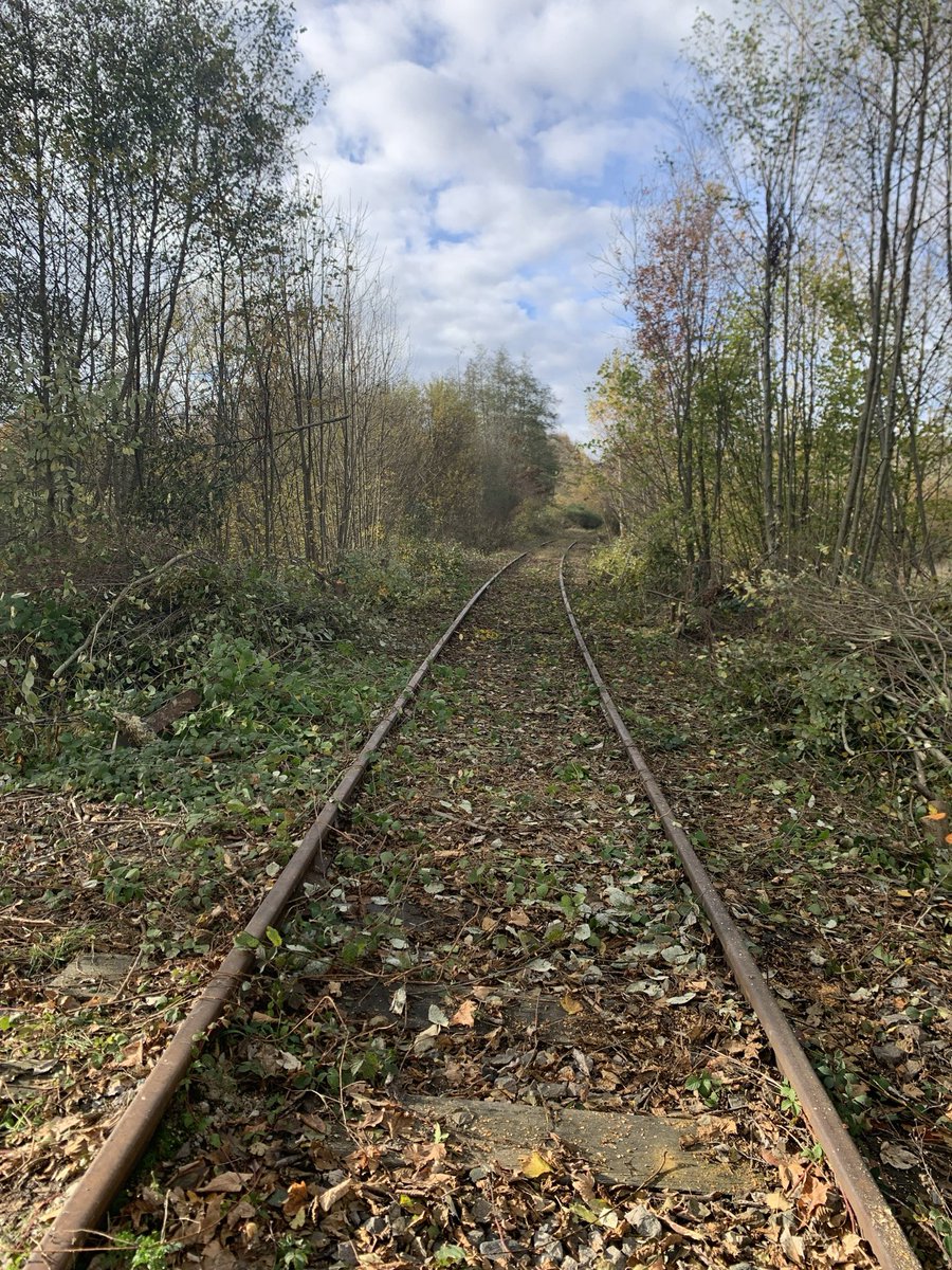 LeTrain634269 tweet media