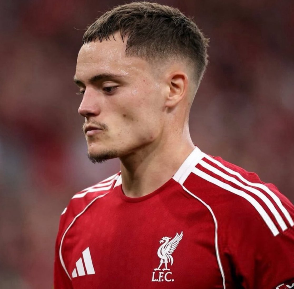 يسطى لو انت كرواتي كان اسمك ماساهمتيتش