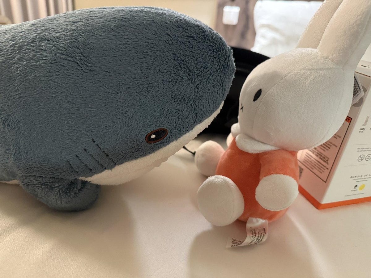 Blåhaj vs Miffy…
Fight!!