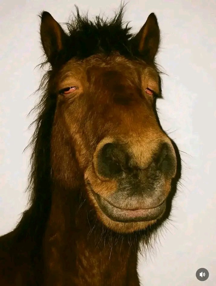 isolatedbuster 😶‍🌫️👊 tweet media