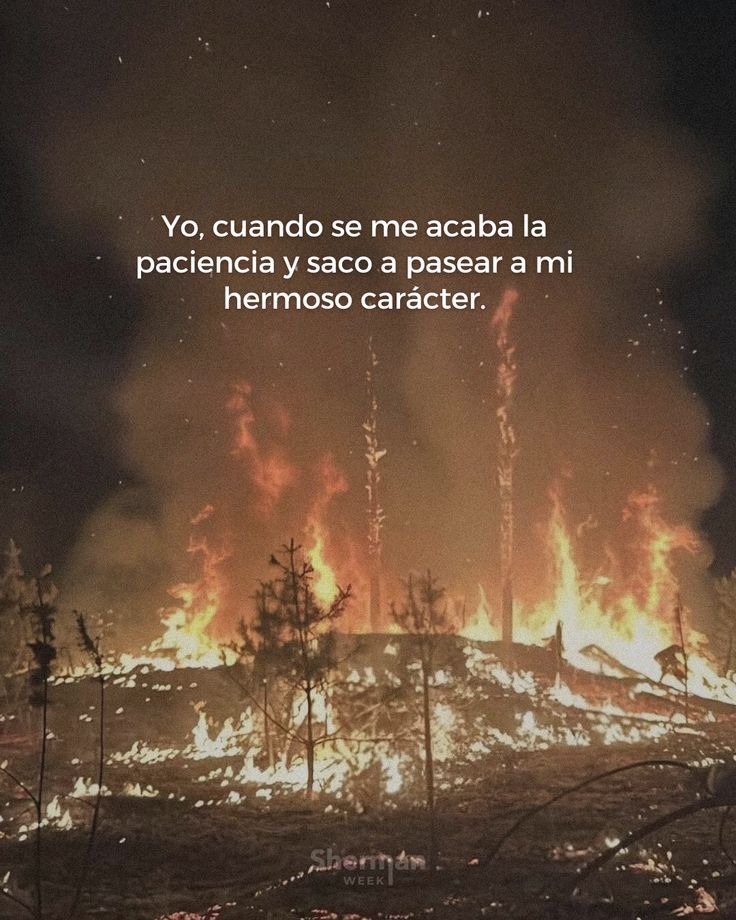 vibes (@vibesfyp) on Twitter photo 