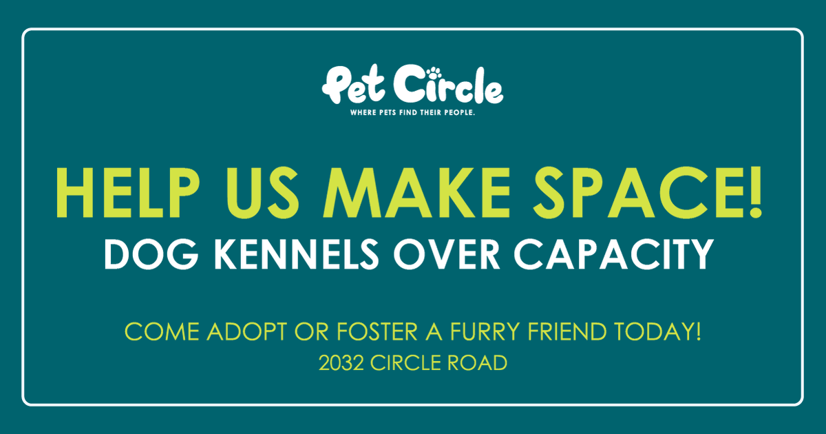 ⚠️ Please Help Us Make Room! ⚠️

We have WAY more dogs than we have space for. How YOU can help today:
🐾 Foster or adopt a dog.
🐾 Please share this post with your friends!

#wacotexas #wacotx #petcirclewaco #offthecircle #adoptdontshop #fosteringsaveslives