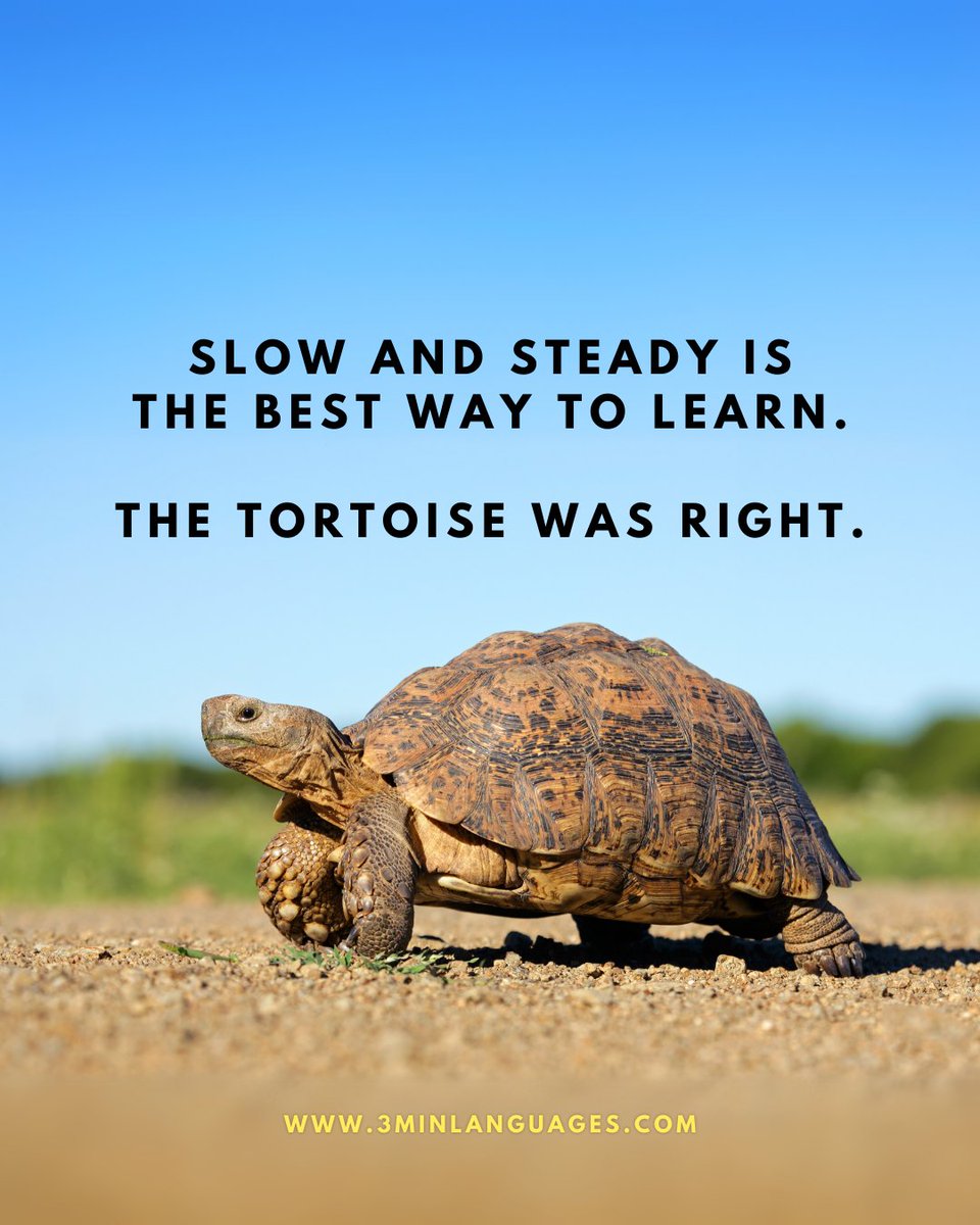 3MLanguages's tweet image. Slow and steady wins.
 Be the tortoise.
 👉 Go steady, daily: 3minlanguages.com

#3MinuteLanguages #StudyIn3 #LanguageLearning #MicroLearning #Consistency #LearnFrench #LearnSpanish #LearnGerman #LearnItalian #LearnPortuguese
