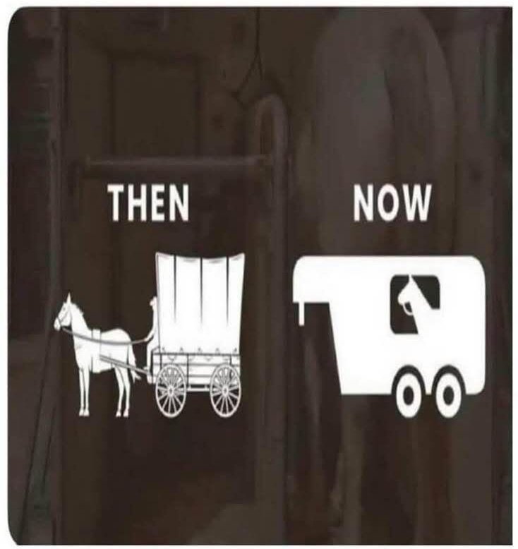 Koně, dobře vy🤣🤣