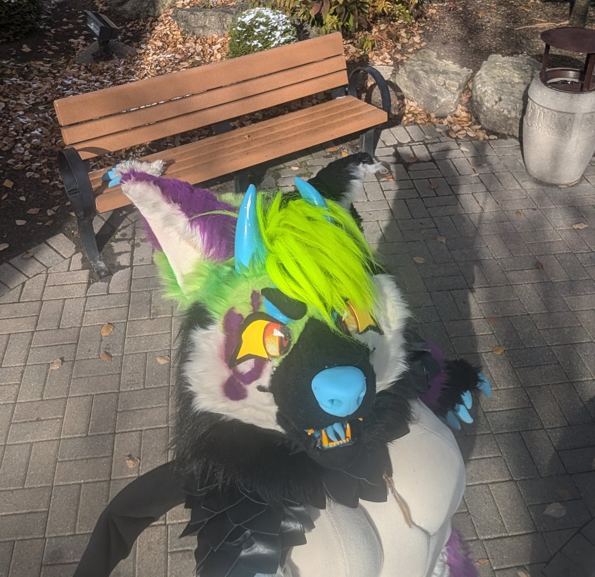 ✨Miss Mayhem✨ tweet media