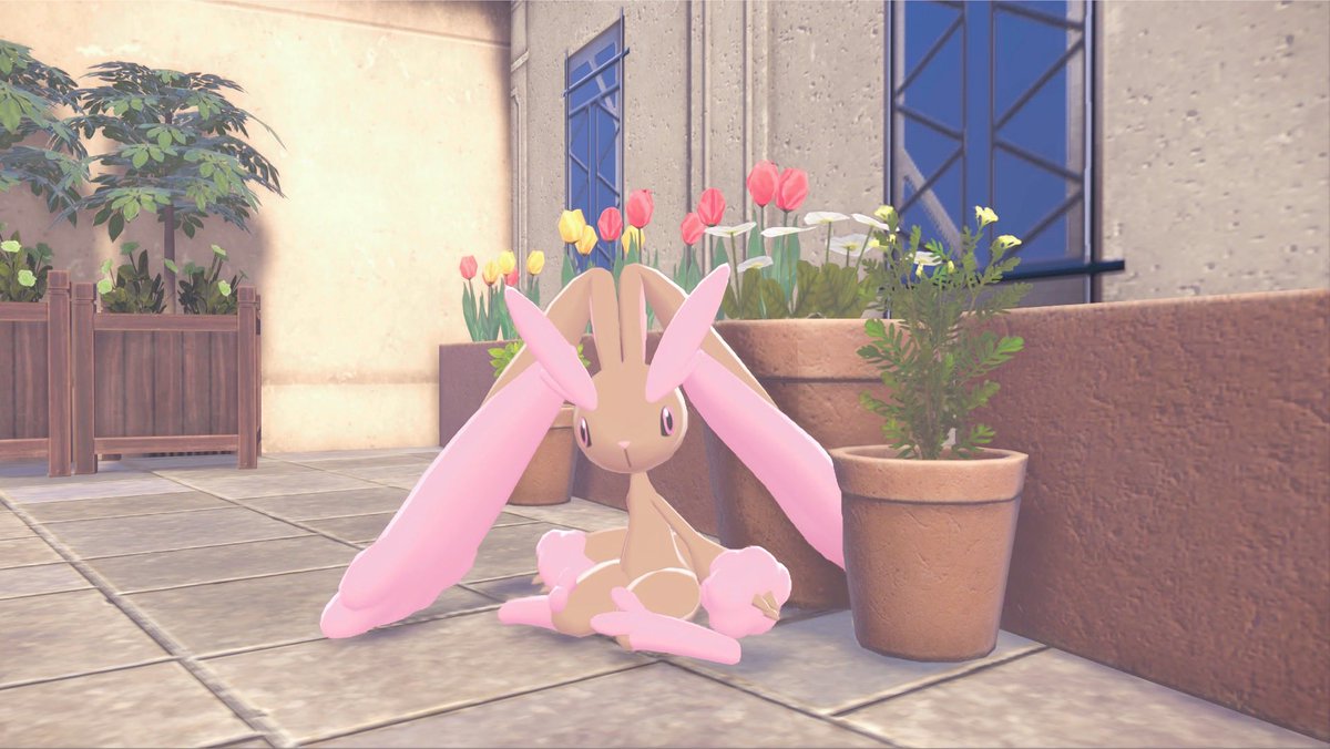 ⊹ ࣪ ˖ alice ♡ tweet media