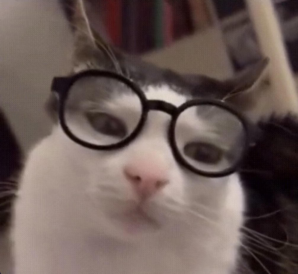 𝖒𝖚 🖤✨ tweet media