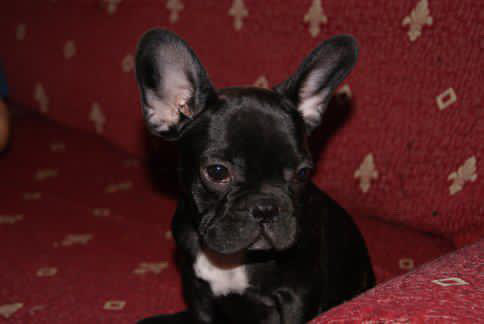 aroitis04's tweet image. Vuela alto mi pequeña ❤️