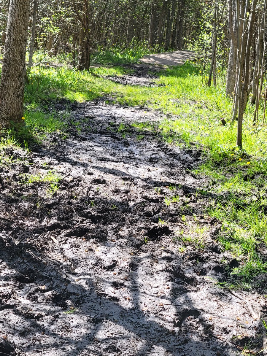 Every day is a chance to take one small step toward the life you want.  It doesn’t have to be big. 
Drink more water. 
Make one meal from scratch. 
Take a 10 minute walk. 
Say no to one thing that doesn’t serve you.  
Start where you are, one change at a time.  Those small steps