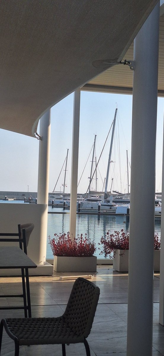 gintotheforest's tweet image. #funday