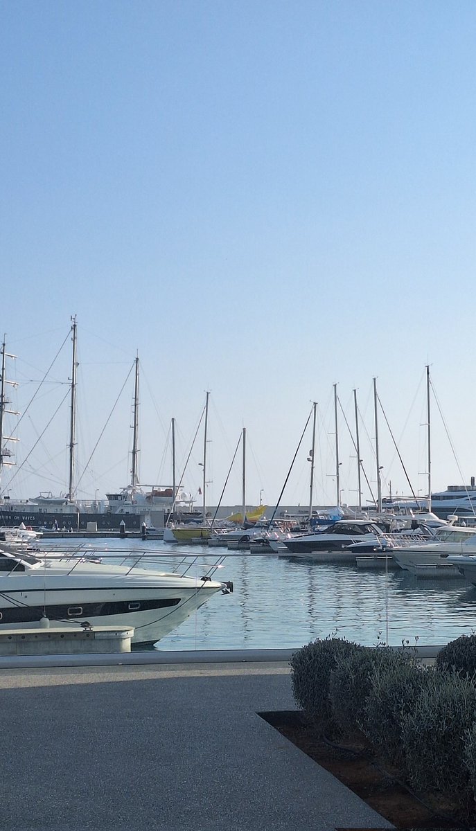 gintotheforest's tweet image. #funday