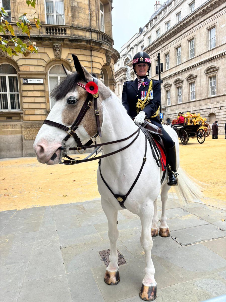 CityHorses's tweet image. What a weekend! Celebrating the Lady Mayor’s Show with #PHNegus making her debut escorting the Coach with #PHPollard and what an absolute superstar she was! Taking it all in her stride👌🏻Both horses doing the CoLP Mounted Branch proud. @cityoflondon @CityPoliceCops
