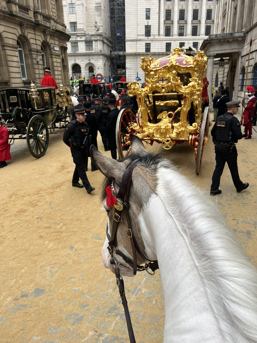 CityHorses's tweet image. What a weekend! Celebrating the Lady Mayor’s Show with #PHNegus making her debut escorting the Coach with #PHPollard and what an absolute superstar she was! Taking it all in her stride👌🏻Both horses doing the CoLP Mounted Branch proud. @cityoflondon @CityPoliceCops