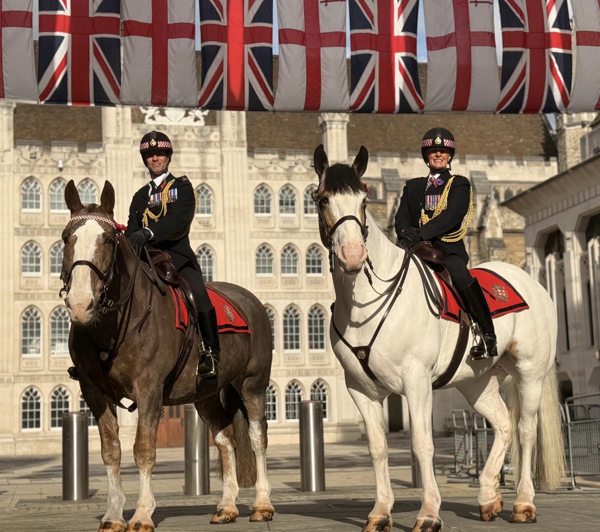 CityHorses's tweet image. What a weekend! Celebrating the Lady Mayor’s Show with #PHNegus making her debut escorting the Coach with #PHPollard and what an absolute superstar she was! Taking it all in her stride👌🏻Both horses doing the CoLP Mounted Branch proud. @cityoflondon @CityPoliceCops