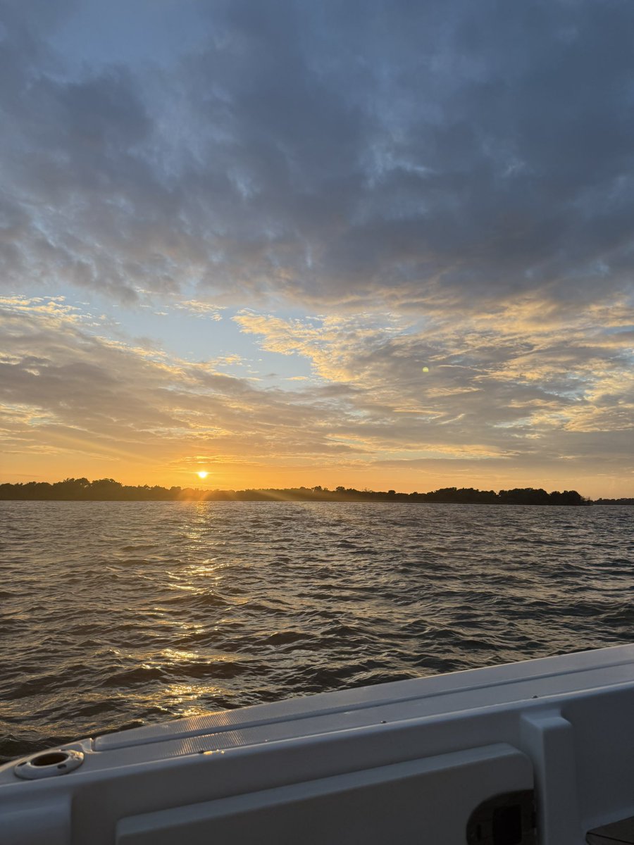 spoiled 🕷️ tweet media