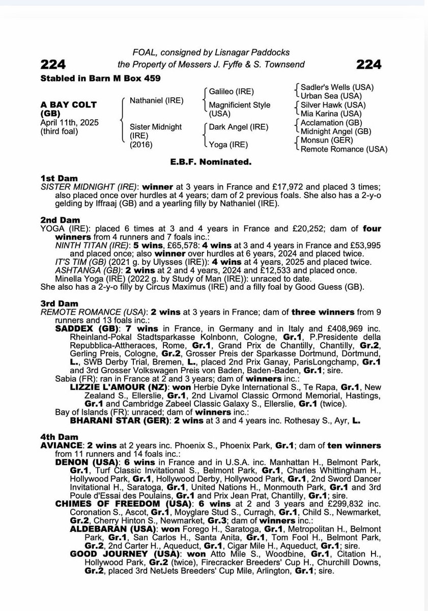 Discovery Bloodstock tweet media