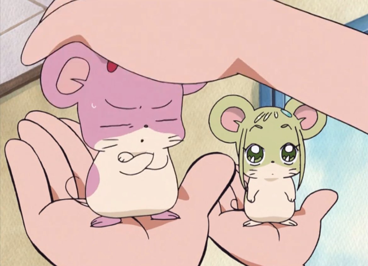 𝗼𝗷𝗮𝗺𝗮𝗷𝗼 𝗱𝗼𝗿𝗲𝗺𝗶 🍉🐸🎶 (@ojamajodoremipc) on Twitter photo 