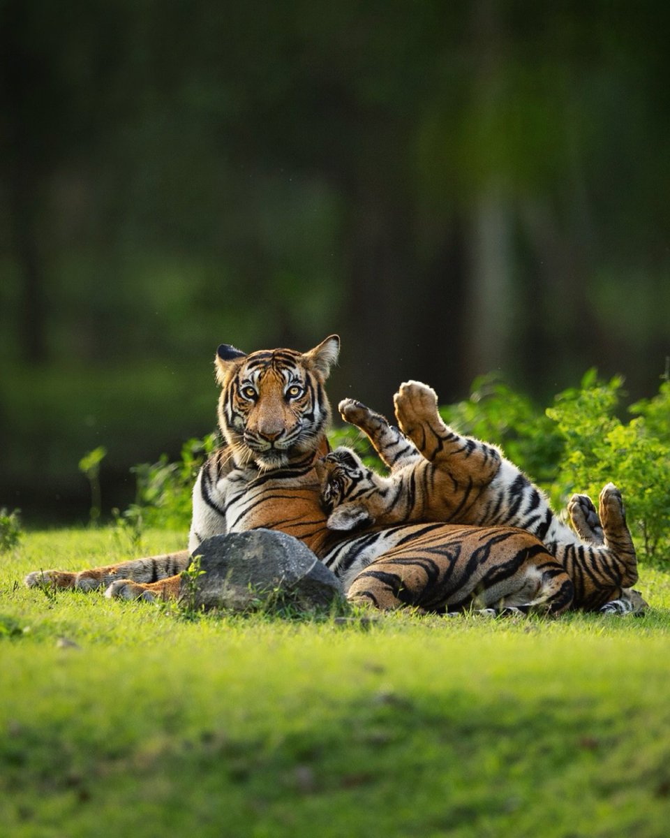 VagrantTravels's tweet image. 