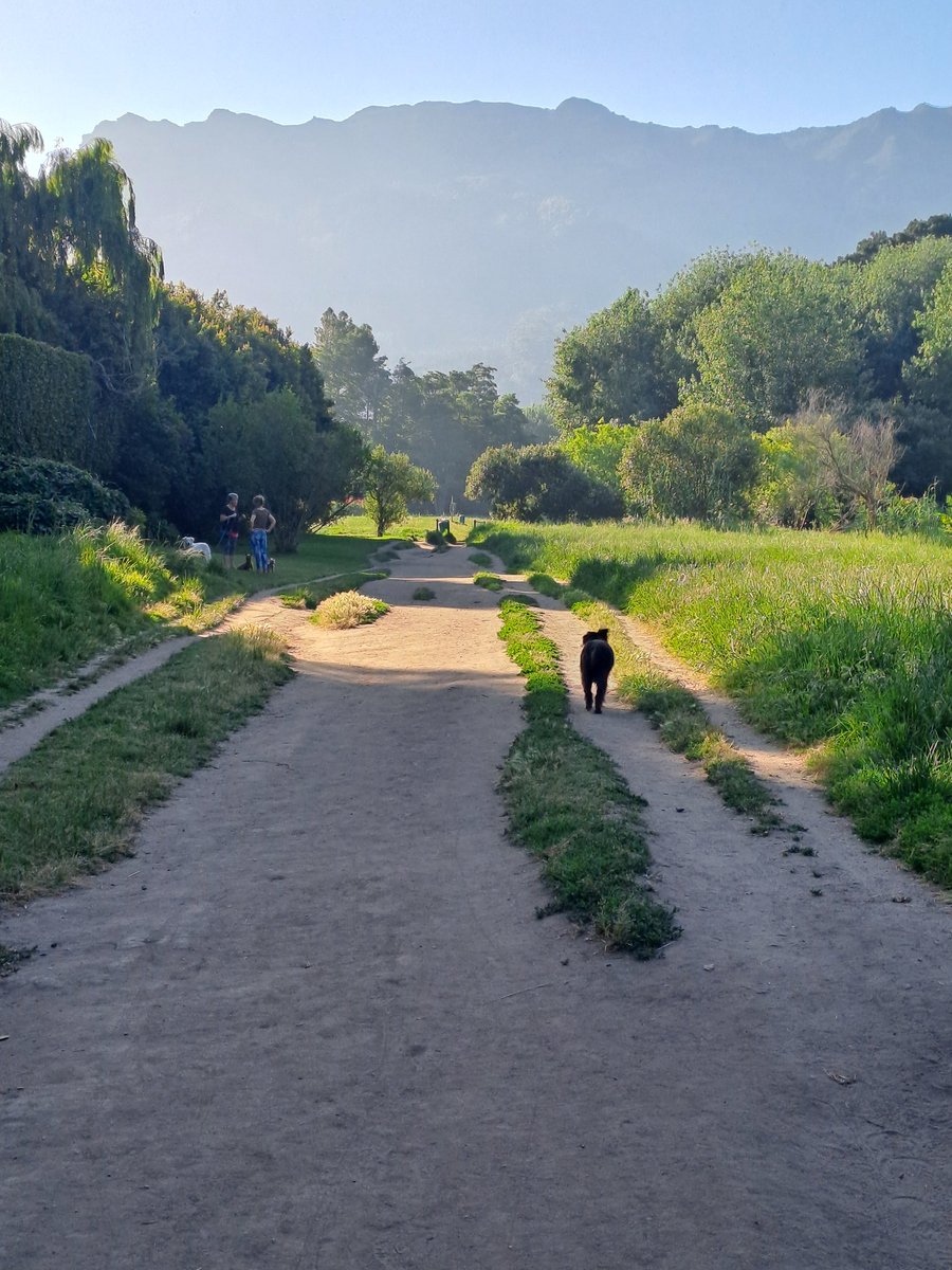 Afternoon  walk, tonic.