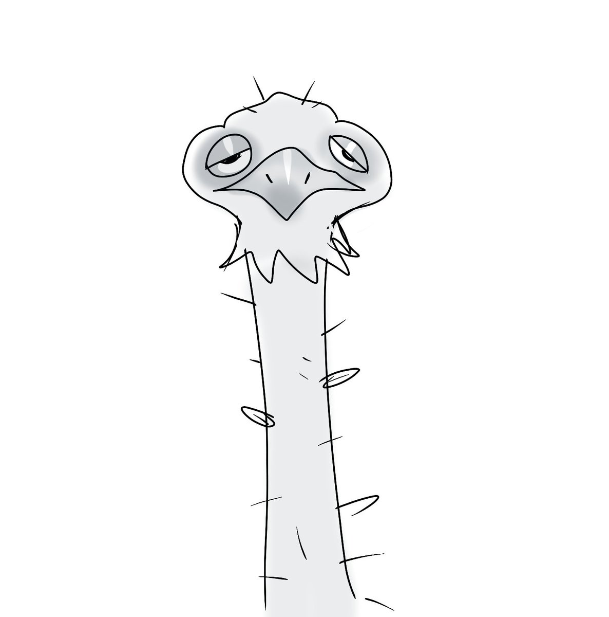 Girl I see a fucking ostrich