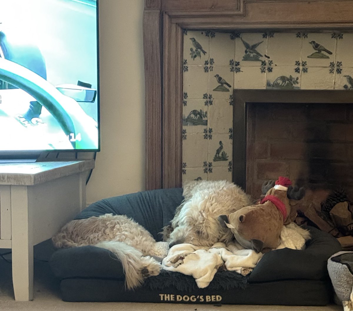 Tashy McTashface tweet media